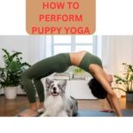 HOW TO PERFORM PUPPY YOGA
