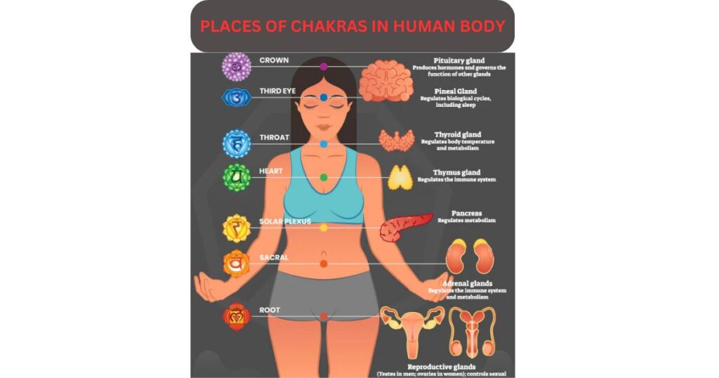 CHAKRA YOGA