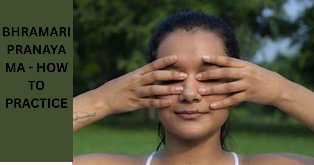 BHRAMARI PRANAYAMA IYENGAR — HAND POSITION