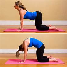 SLOW FLOW YOGA